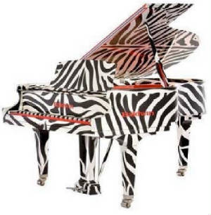 webassets/thezebra2.jpg